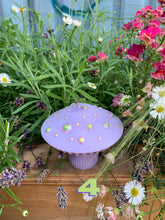 Load image into Gallery viewer, Custom - Psilocybe Mushroom