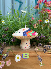 Load image into Gallery viewer, Custom - Psilocybe Mushroom